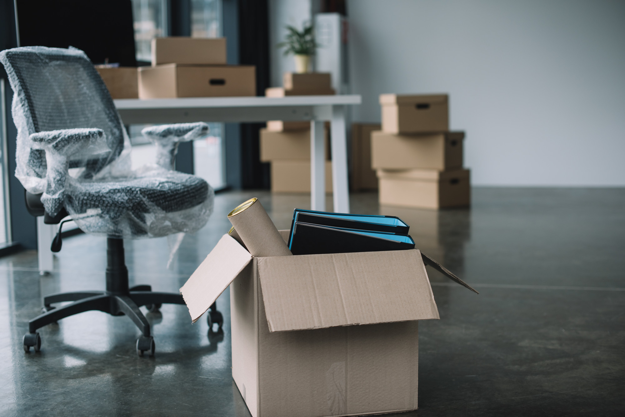 Office Shifting